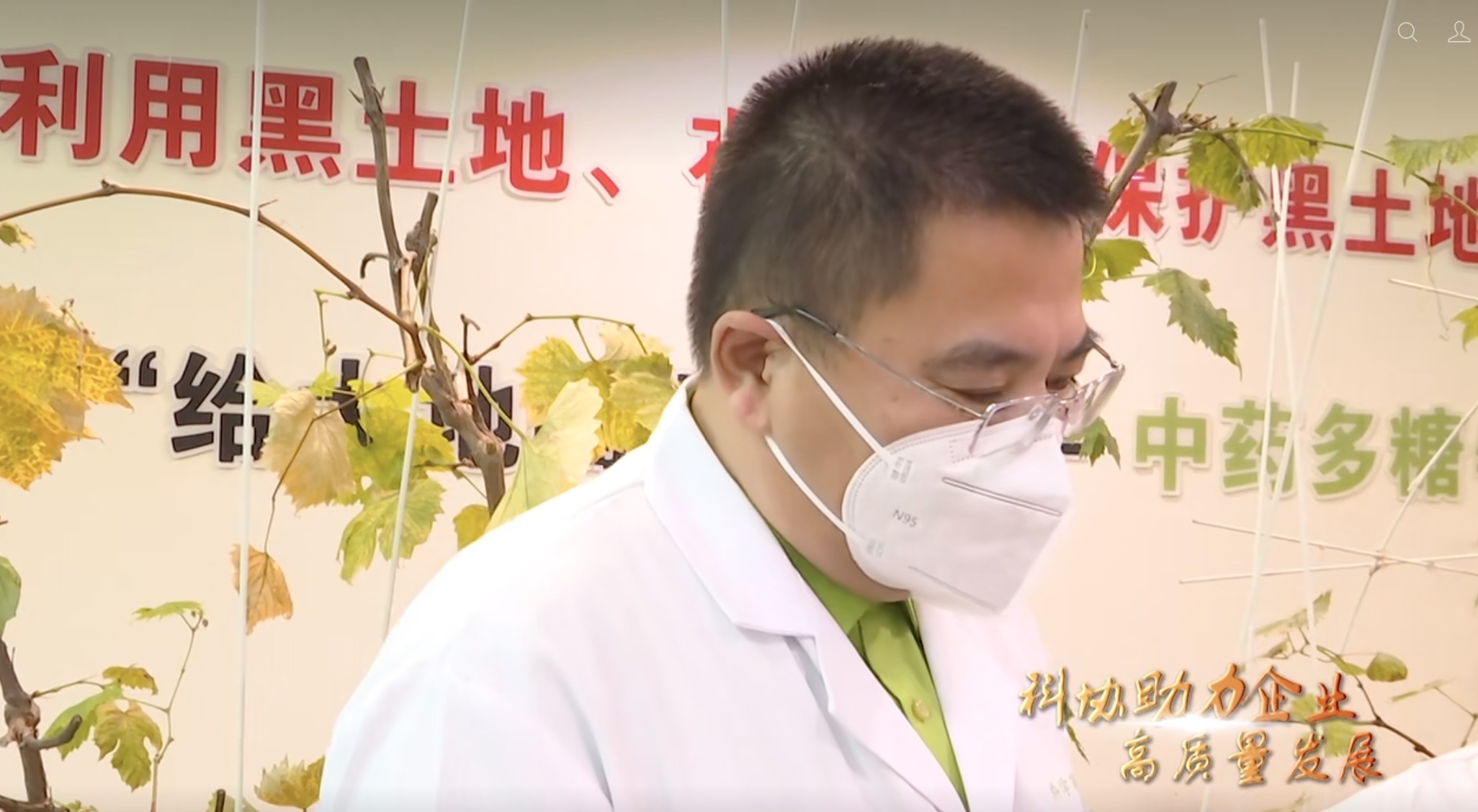 中药多糖钙 中药多糖钙