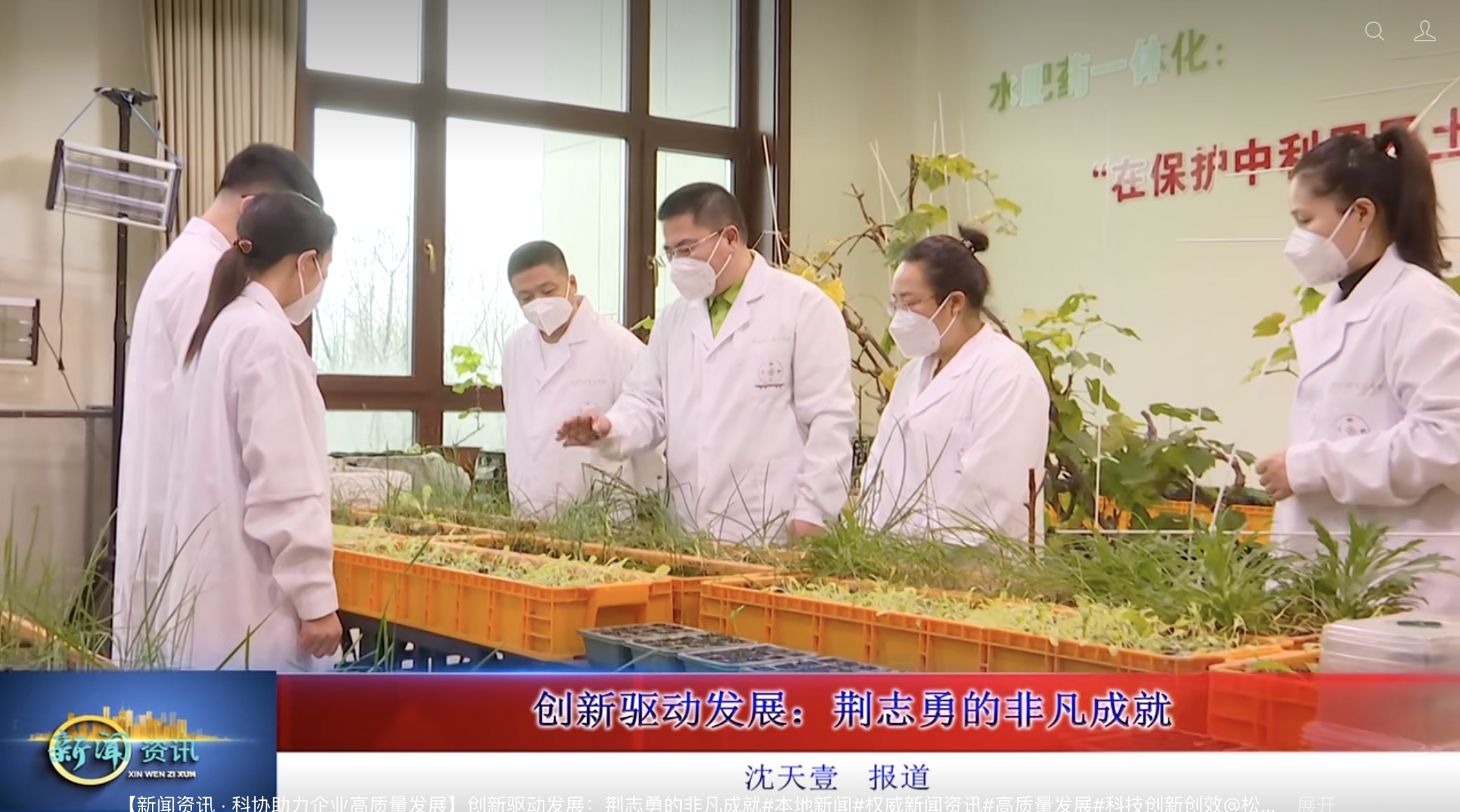 中药多糖钙 中药多糖钙