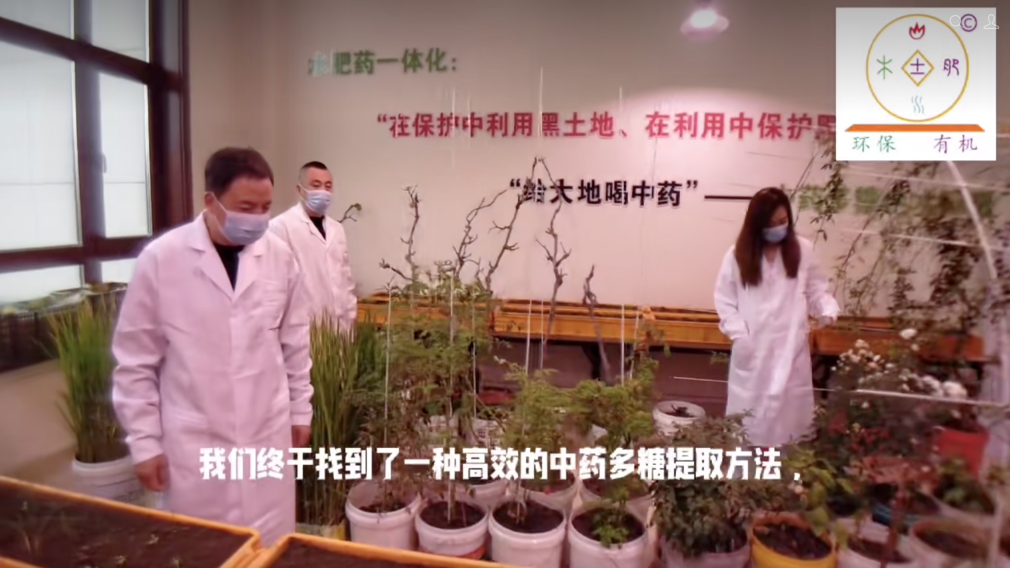 中药多糖钙 中药多糖钙