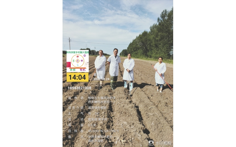 东北玉米收获后种二茬庄家案例